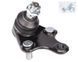 Шарова опора перед. (нижн.перед) Toyota Auris/Camry/Corolla/Prius 05- (Конус 17,5мм) RL-433924T фото 4