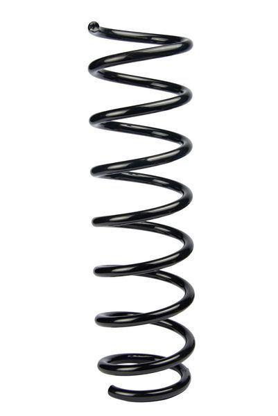 Пружина задня BMW 5 (E60) 01-10 (397*11,5*111) SR127TP фото